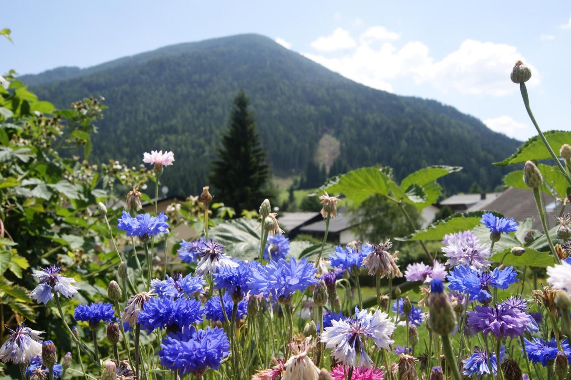 Hotel Sonnenheim Bad Kleinkirchheim Buitenkant foto