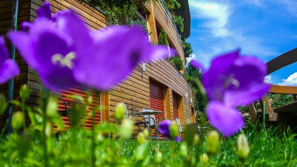 Hotel Sonnenheim Bad Kleinkirchheim Buitenkant foto
